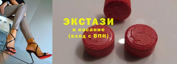 ECSTASY Бородино